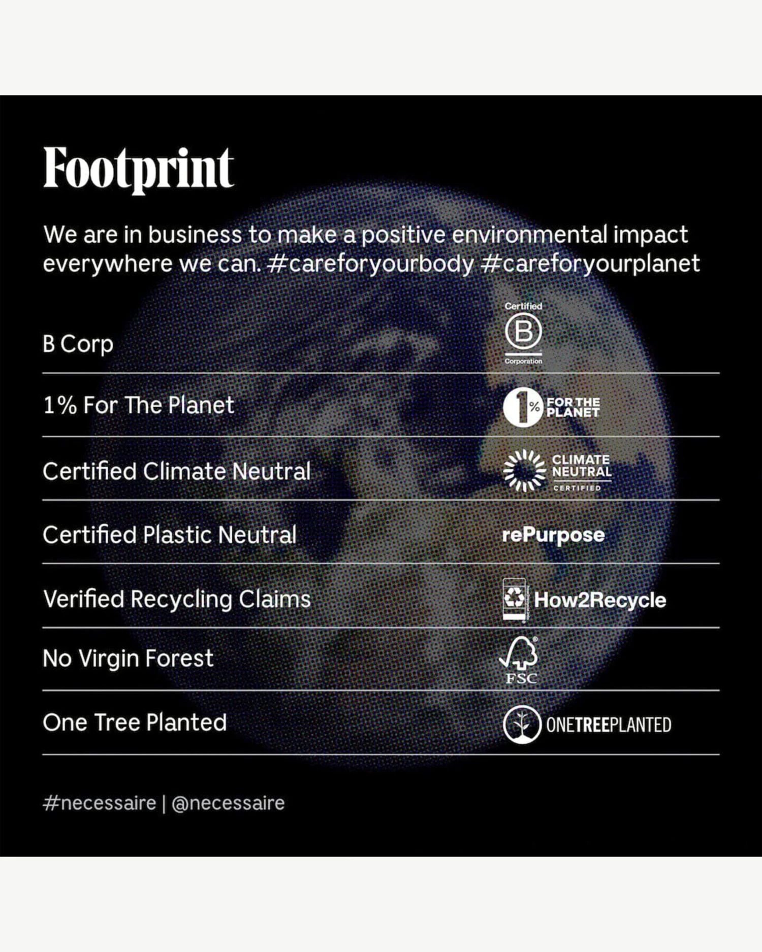 The Body Serum 7 The Body Serum - Image 7