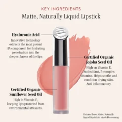 Matte, Naturally Liquid Lipstick 36 Matte, Naturally Liquid Lipstick -Fashion Makeup & Care 210310 Matte Naturally Infographic FINAL 01