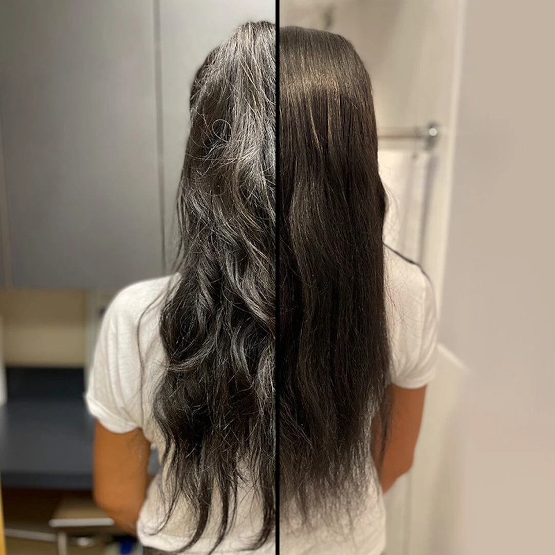 The Mane Agent 2 The Mane Agent - Image 2