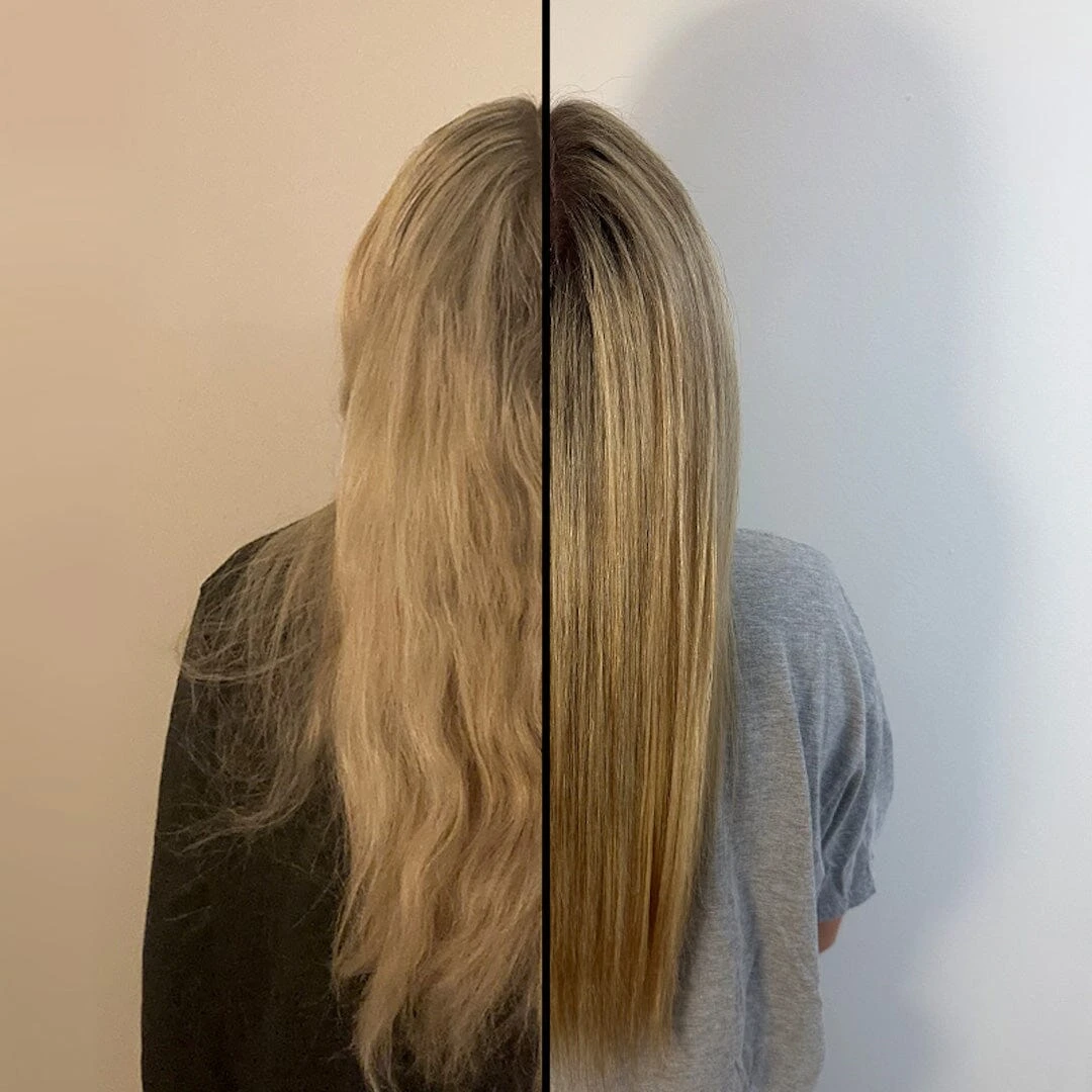 The Mane Agent 6 The Mane Agent - Image 6