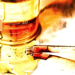 Super Naked, Plum + Chia Oil 15 Super Naked, Plum + Chia Oil -Fashion Makeup & Care 7 cb736ee9 63ae 4796 a596 f4e3dde1e902