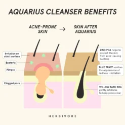 Aquarius BHA + Blue Tansy Clarity Cleanser -Fashion Makeup & Care AQUA 1101140 4