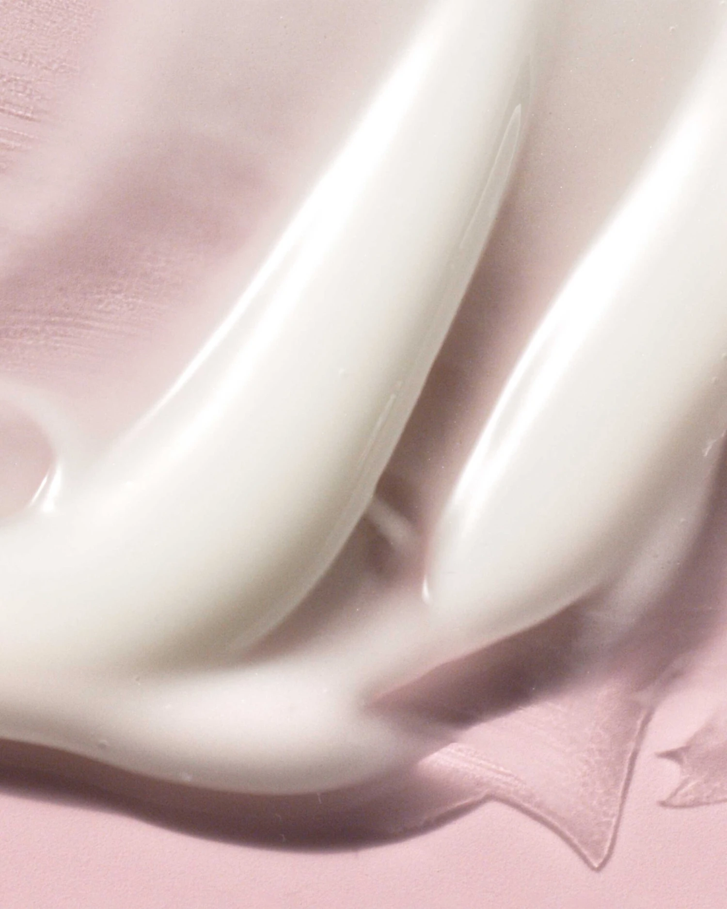 Wild Nettle & Niacinamide Firming Serum 2 Wild Nettle & Niacinamide Firming Serum - Image 2