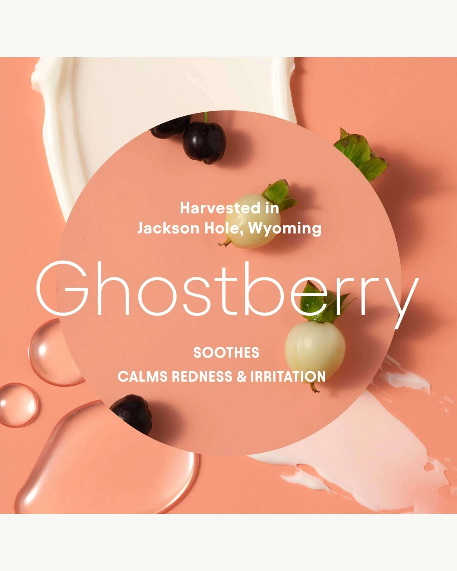 Super Peptide & Ghostberry Barrier Repair Cream 6 Super Peptide & Ghostberry Barrier Repair Cream - Image 6