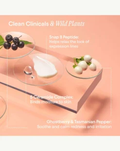 Super Peptide & Ghostberry Barrier Repair Cream 16 Super Peptide & Ghostberry Barrier Repair Cream -Fashion Makeup & Care Alpyn SuperPeptideGhostberryBarrierRepairCream Ingredients 06 scaled