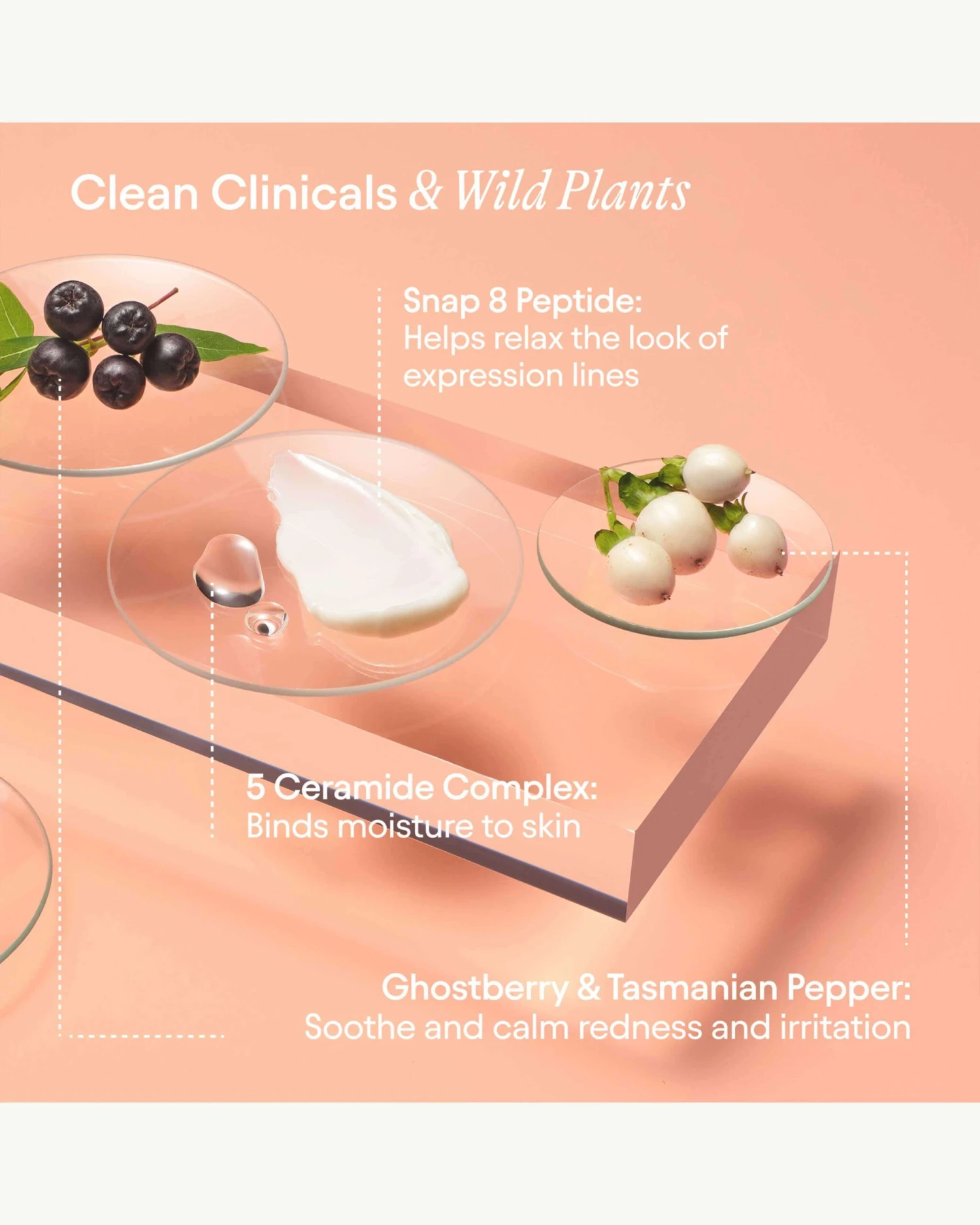 Super Peptide & Ghostberry Barrier Repair Cream 7 Super Peptide & Ghostberry Barrier Repair Cream - Image 7