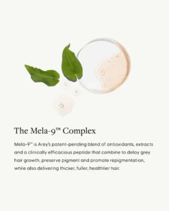 Wash Shampoo -Fashion Makeup & Care Arey WashShampoo Features 07 scaled