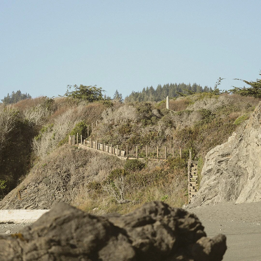 Good Seed Conditioner 8 Good Seed Conditioner - Image 8