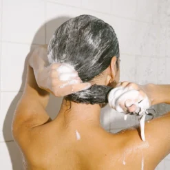 Kelp Forest Shampoo -Fashion Makeup & Care BC KelpForestShampoo Ed1