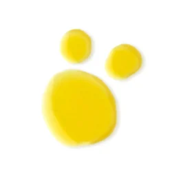 Bio-Retinol + C Booster -Fashion Makeup & Care Bio Retinol CBoosterSWATCH