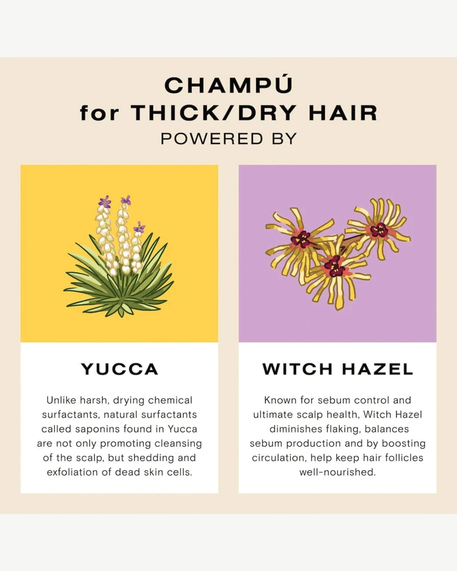 Deep Moisture Wash And Repair Kit 3 Deep Moisture Wash And Repair Kit - Image 3