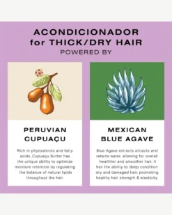 Deep Moisture Wash And Repair Kit 17 Deep Moisture Wash And Repair Kit -Fashion Makeup & Care Ceremonia 2605137 KeyIngredients scaled