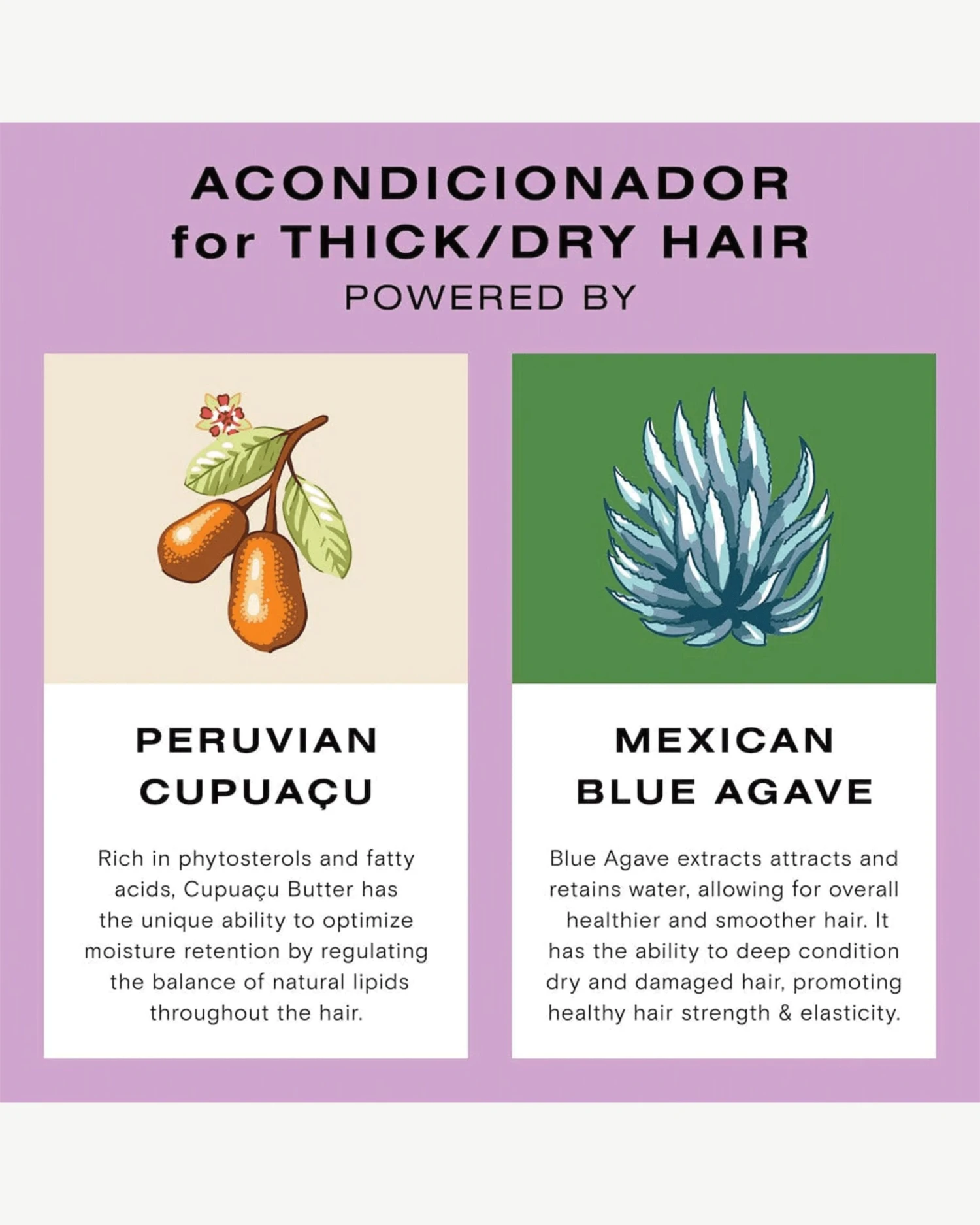 Deep Moisture Wash And Repair Kit 4 Deep Moisture Wash And Repair Kit - Image 4