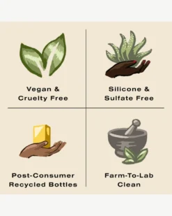 Guava Shampoo For Color Treated Hair And Damage Repair 19 Guava Shampoo For Color Treated Hair And Damage Repair -Fashion Makeup & Care Ceremonia BrandInfo 5e6e9c7c 957d 4330 83be 1ab669c8519f scaled