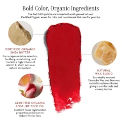 The Red Edit Lipstick Refill -Fashion Makeup & Care CopyofCredo Red Edit Lipsticks Infographics v4