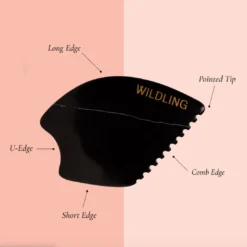 Empress Stone 6 Empress Stone -Fashion Makeup & Care EmpressDiagram