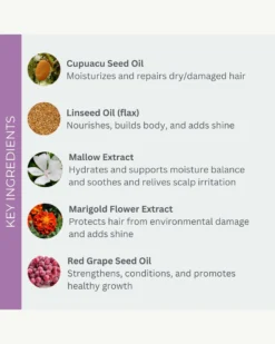 TotalControl Styling Cream 7 TotalControl Styling Cream -Fashion Makeup & Care Evolv TotalControlStylingCreme Ingredients 03 scaled