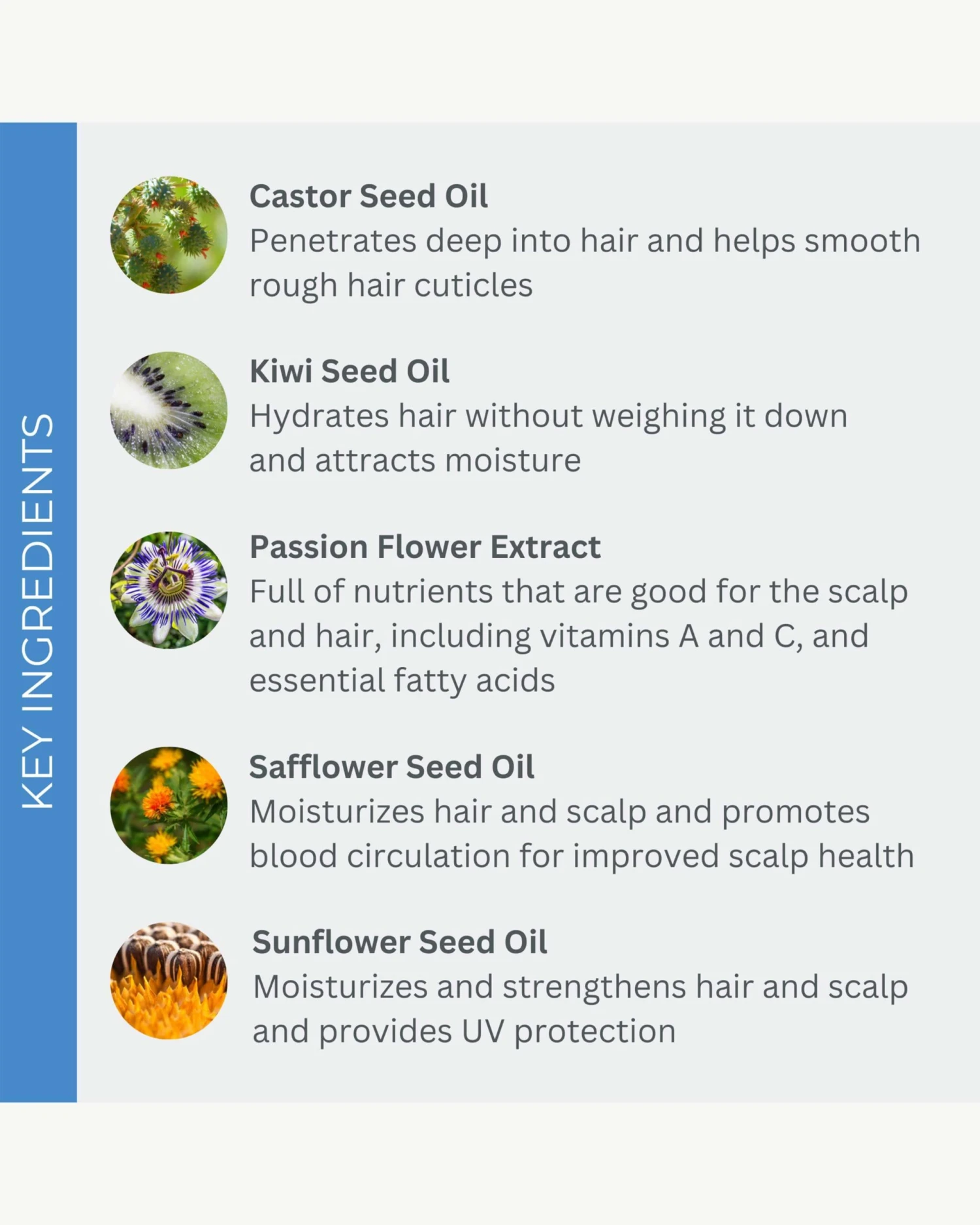 SmartCurl Hydrating Conditioner 3 SmartCurl Hydrating Conditioner - Image 3