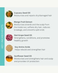 UltraRepair Reconstructing Masque 7 UltraRepair Reconstructing Masque -Fashion Makeup & Care Evolvh UltraRepairReconstructingMasque Ingredients 03 scaled