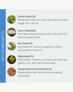 WonderBalm 7 WonderBalm -Fashion Makeup & Care Evolvh WonderBalm Ingredients 03 scaled