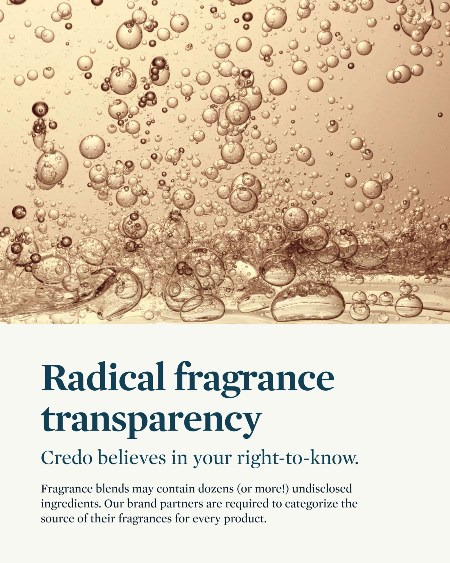 The Great Cleanse Cleansing Oil 4 The Great Cleanse Cleansing Oil - Image 4