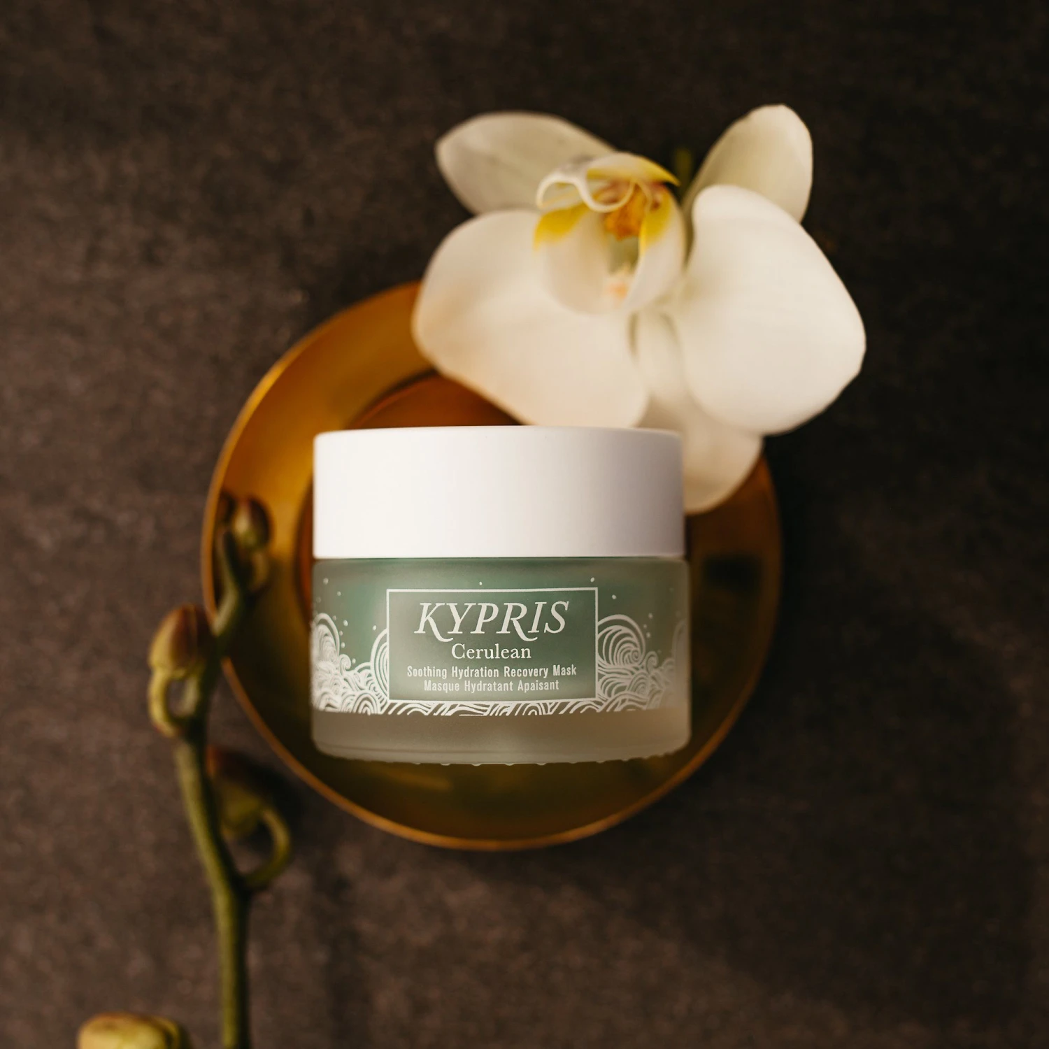 Cerulean Mask 6 Cerulean Mask - Image 6