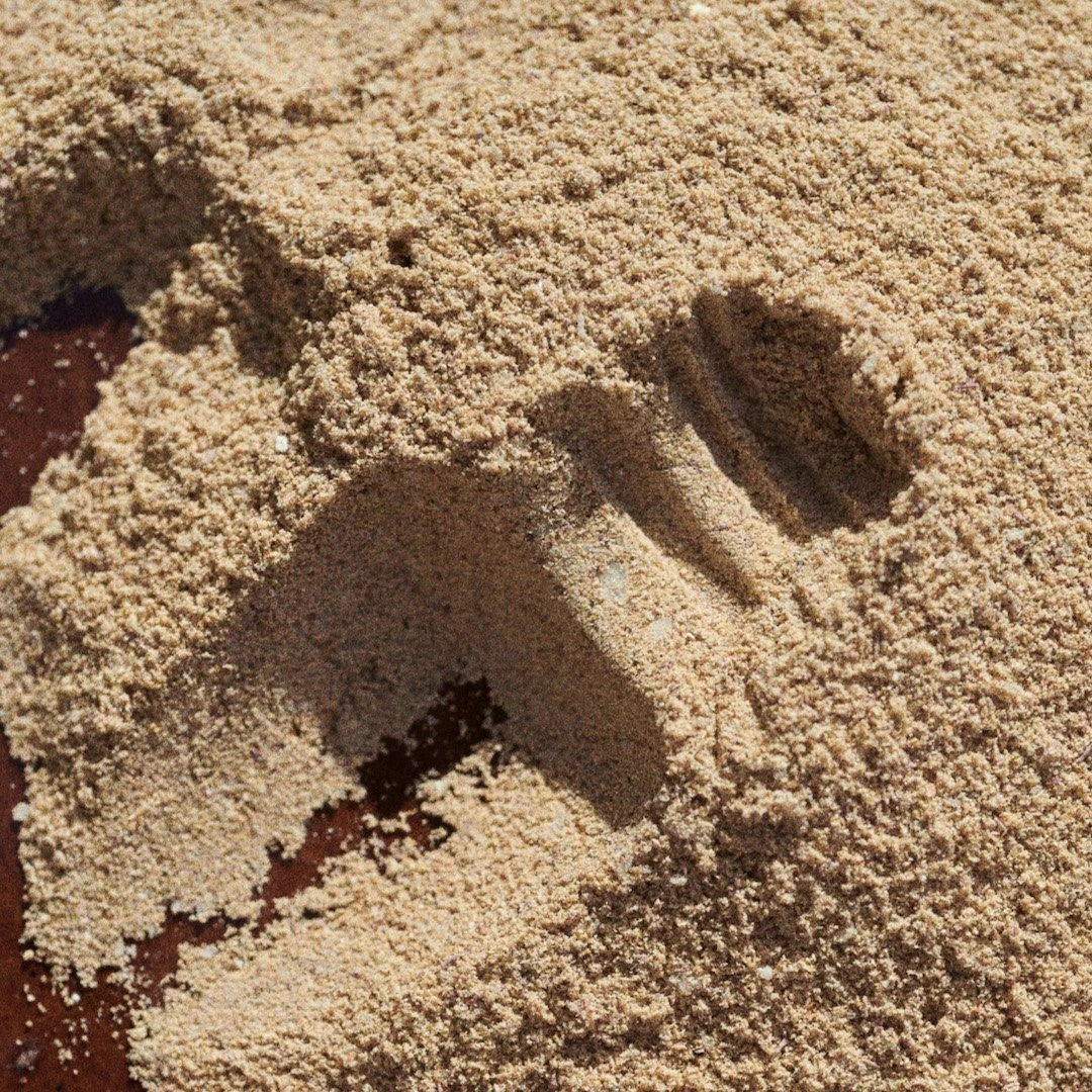 Skin Soil Exfoliating Grain 2 Skin Soil Exfoliating Grain - Image 2