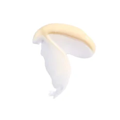 Moringa All-Beauty Creme 11 Moringa All-Beauty Creme -Fashion Makeup & Care MoringaCreme Swatch 1080x1080 2a26e532 86b4 429d b2dc fc69a19ff3ed