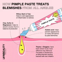 Pimple Paste Overnight Drying Paste -Fashion Makeup & Care PIMPLEPASTE3