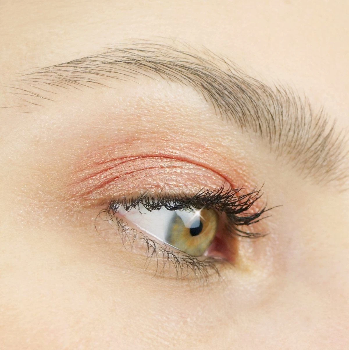 PHYTO-PIGMENTS Jelly Eyeshadow 3 PHYTO-PIGMENTS Jelly Eyeshadow - Image 3