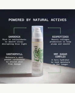 Bonne Nuit™ BioPeptide Renewal Overnight Cream -Fashion Makeup & Care Pai BonneNuitCream Ingredients 05 scaled