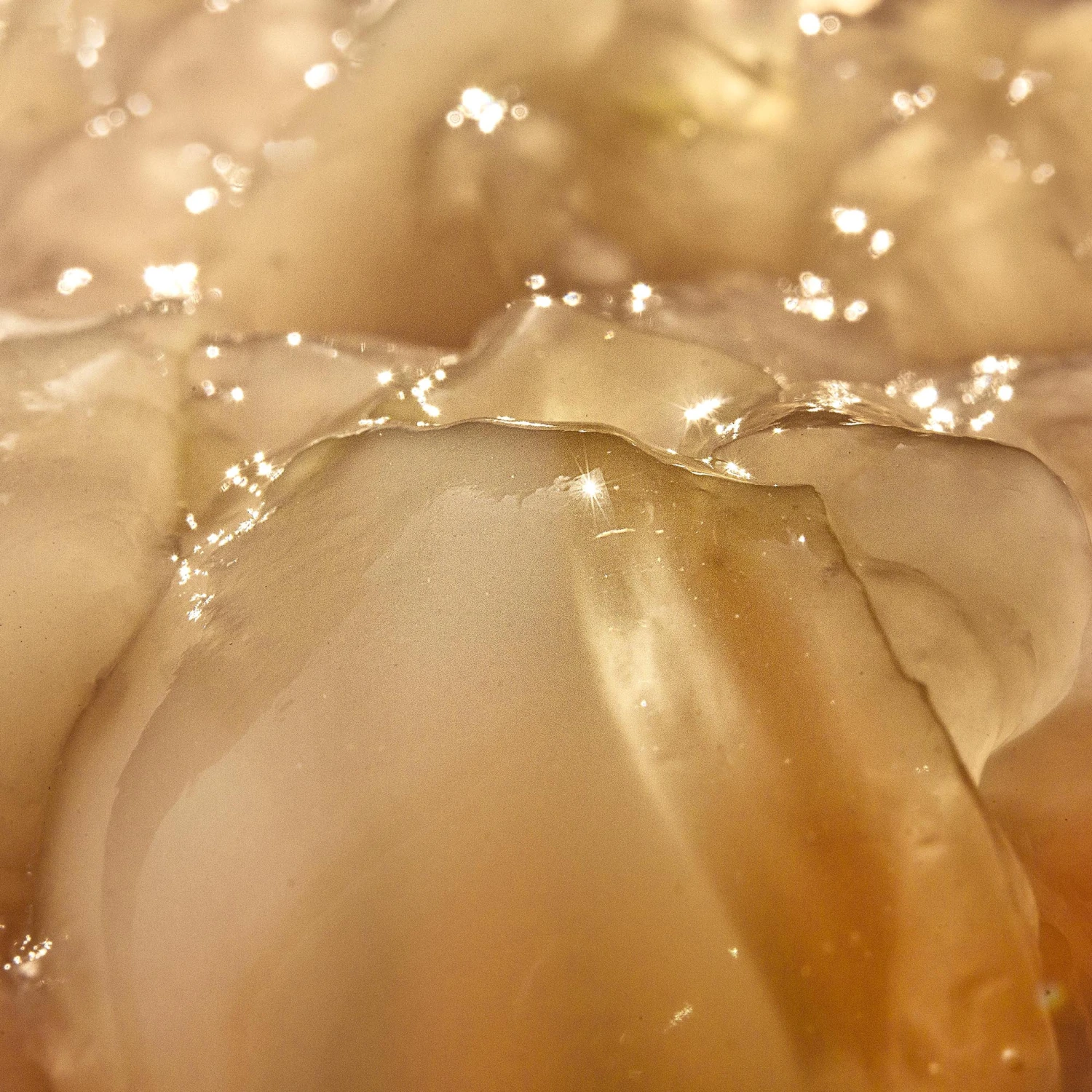 Glow Philtre 4 Glow Philtre - Image 4