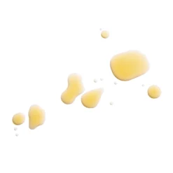 Retinoic Nutrient Face Oil 8 Retinoic Nutrient Face Oil -Fashion Makeup & Care RetinoicNutrientFaceOil Goop 2400x3680px 300dpi