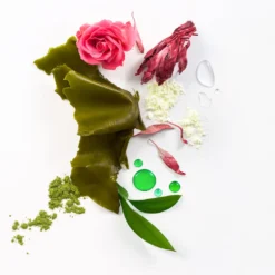 SUPERKIND Bio-Barrier Serum 9 SUPERKIND Bio-Barrier Serum -Fashion Makeup & Care SKEyeIngredientsv2