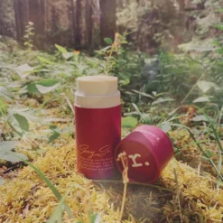 Deodorant Stick 9 Deodorant Stick -Fashion Makeup & Care STICK SexySadie