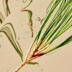 SUPERKIND Refining Cleanser 13 SUPERKIND Refining Cleanser -Fashion Makeup & Care Sept8 NordicPine Ingredient 1