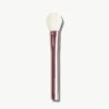 Sustainable Luxury Cheek Brush