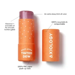 Axiology Multi Stick -Fashion Makeup & Care TINTEDDEW THEGOODNESS