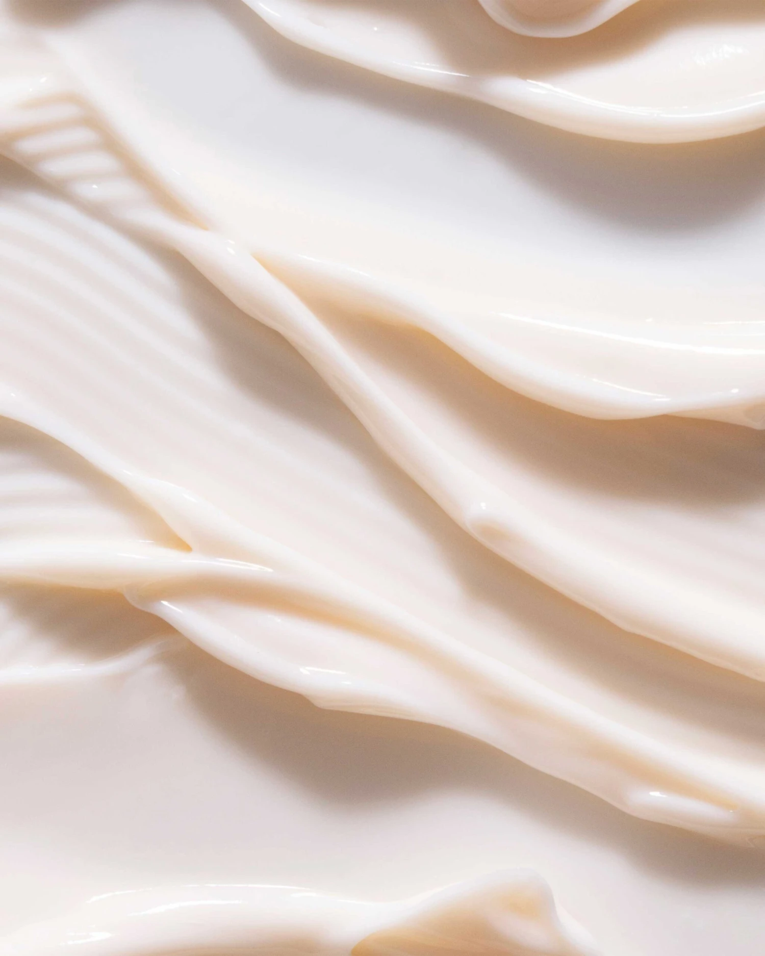 Dream Bio-Retinol + Shorea Butter Night Cream 2 Dream Bio-Retinol + Shorea Butter Night Cream - Image 2