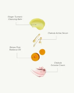 Glowy Bestsellers Starter Kit -Fashion Makeup & Care TrueBotanicals GlowyBestsellersKit Ingredients 03 scaled