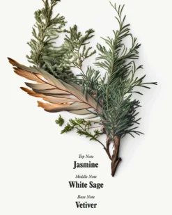 Uni 24 Hour Serum -Fashion Makeup & Care Uni BodySerum Ingredients 04 scaled