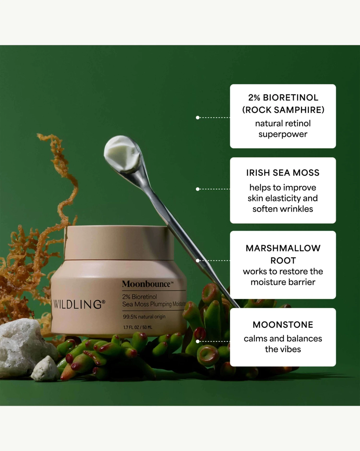 Moonbounce 2% Bioretinol Irish Sea Moss Plumping Moisturizer 6 Moonbounce 2% Bioretinol Irish Sea Moss Plumping Moisturizer - Image 6
