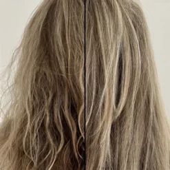 The Mane Agent 12 The Mane Agent -Fashion Makeup & Care devider