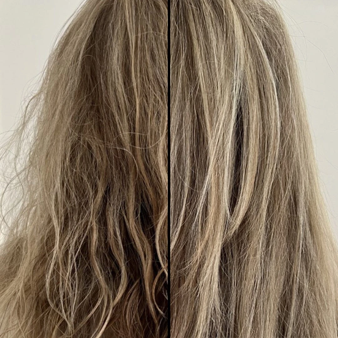 The Mane Agent 4 The Mane Agent - Image 4